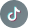 TikTok Icon